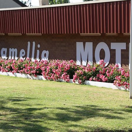 Camellia Motel นาแรนเดอรา ภายนอก รูปภาพ
