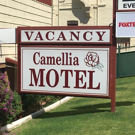 Camellia Motel นาแรนเดอรา ภายนอก รูปภาพ