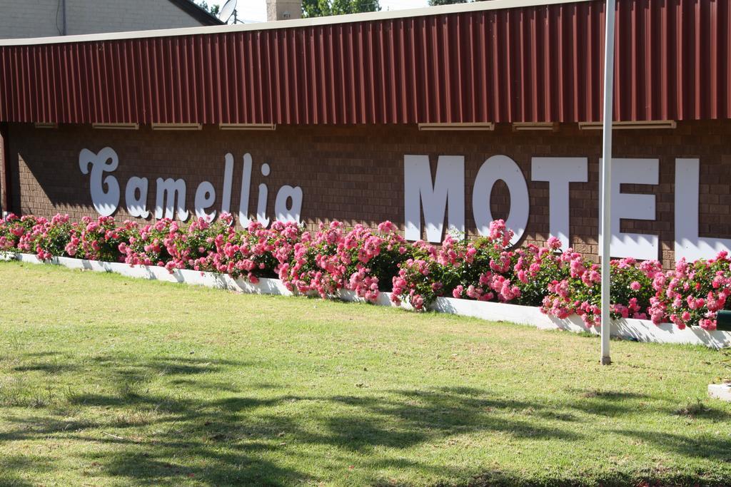 Camellia Motel นาแรนเดอรา ภายนอก รูปภาพ